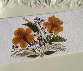 Orange - Handmade Pressed Flowers Card